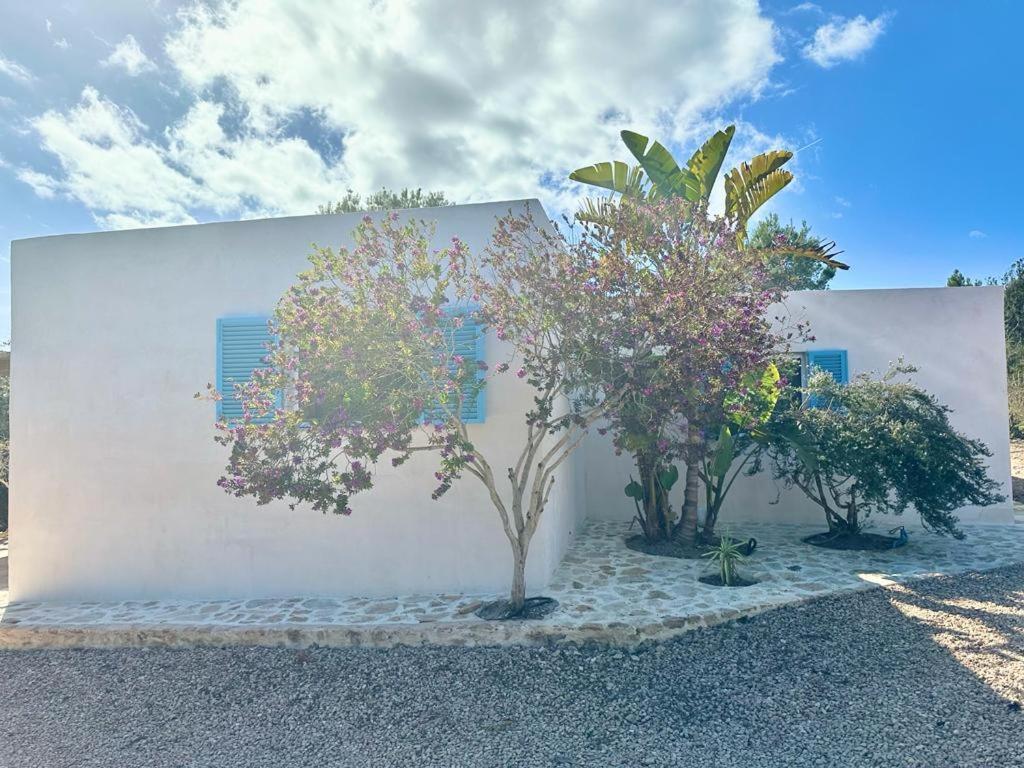 Casa Rustick Villa San Francisco Javier Dış mekan fotoğraf